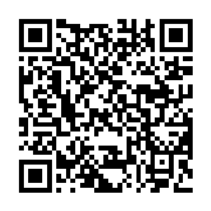 狠狠地盯着寒菲樱仿佛可以轻而易举穿透人灵魂的目光二维码生成