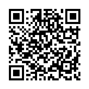 独自一人坐在小巷口不远处的一个石墩上歇息二维码生成