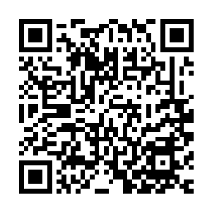 独自一人就从灰烬之塔和工匠之塔那里购买了六枚的阳炎法球二维码生成