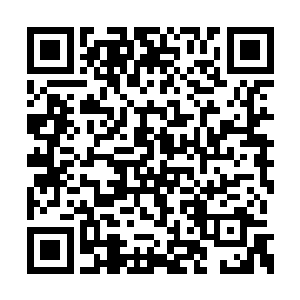 独角兽家族在东海岸算是排名前五的巫师家族了二维码生成