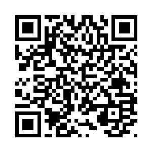 狮子狗到6以后开出第一个大招了二维码生成