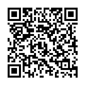 狮虎们确实快粗来啦~~~月初作者们都在嘶声力竭球月票二维码生成