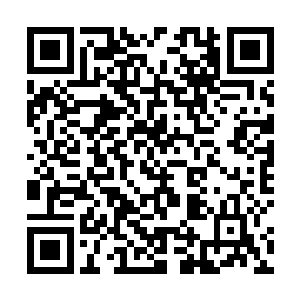 狰狞龙尾甩出来的力量已经达到了六品半圣当中的顶尖二维码生成