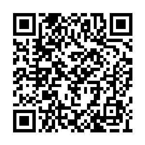 狸子则是在一旁满脸焦急的看着身受重伤的袍子二维码生成