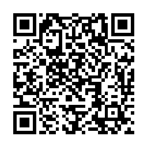 狼人斯科特虽然与猫女凯特说不上是什么亲密的朋友二维码生成