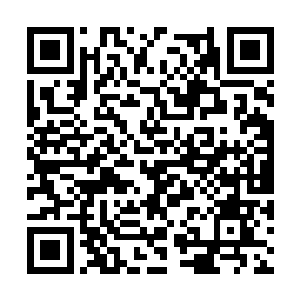 狼人的身体被这股力量推的向反方向移了个三五步二维码生成