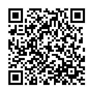 猎海城内所有化神仙祖和元婴后期大修士已纷纷离开二维码生成