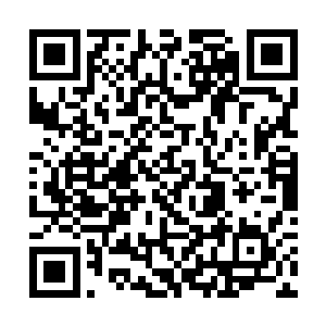 猎犬还没有移动桌子上就发现地板上一个奇怪的裂缝二维码生成