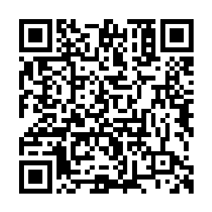 猕猴王急匆匆地奔过去半蹲下握住蛟魔王的脉门二维码生成