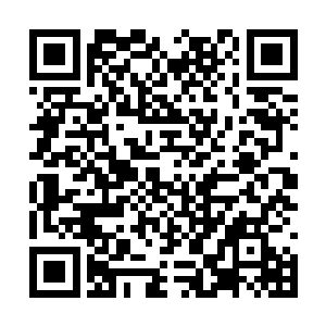 猛然伸出了两条覆盖着黑白相间的坚硬甲壳的长腿二维码生成