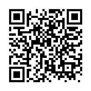 猛然间瞅着路边花台里有板块火砖二维码生成