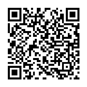 猛的对着那满头是血晕过去的出租车司机就是一印二维码生成