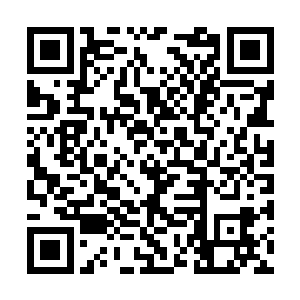 猜出是留在域外战场没有进入到空间裂缝的那几人二维码生成