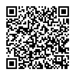 猜到了刚才金漫那边的反应是暗桩那边紧急传讯阻止了刚才的事情二维码生成