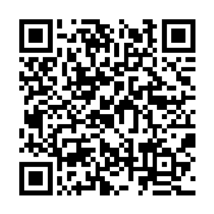 猪皇和太阳帝国的公爵等人来到了一处没人的地方二维码生成