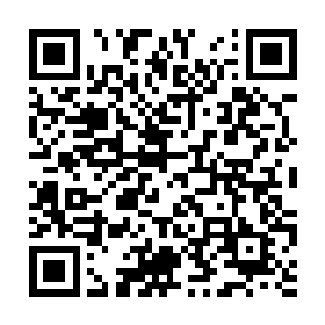 猪肉荣突然从旁边兄弟的手里接过一把剔骨钢刀来二维码生成