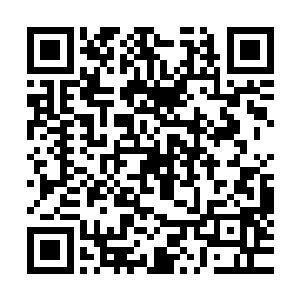 猪里脊香菇大葱白香菜泡辣老干妈香辣酱蚝油油辣椒独蒜八角二维码生成