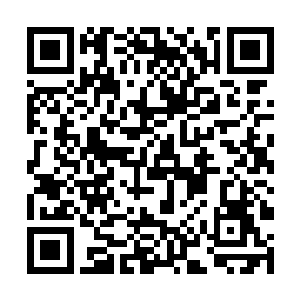 猫头鹰感觉身后这位鬼魂必定和炕上的白蛇有点关系二维码生成