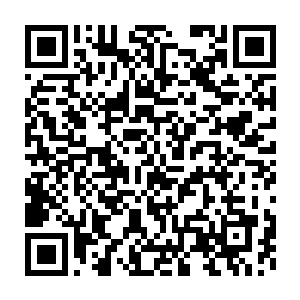 猴子又是扬起金箍棒准备对着眼前独臂巨人的天灵盖再来一记重击二维码生成