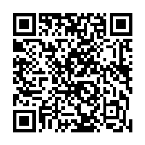 猴子正一脚踩在沙盘上手持长尺与众妖臣议论着新的规划二维码生成