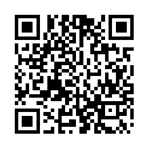 猴子正坐在堆积如山的目录上翻阅着二维码生成