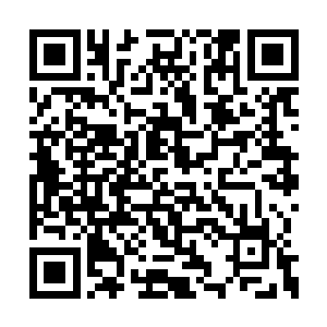 猴子翘着二郎腿坐在桌前将手中的竹简翻了又翻二维码生成