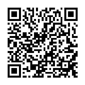 猴子老鼠小李探花等人看着秦洛的眼神变得暧昧而诡异二维码生成