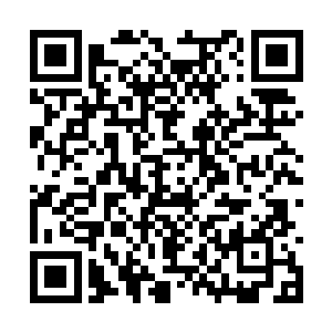 猴子都不会想起去亲自看看那片让狗熊担心的地方二维码生成