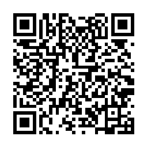 玄奘和小白龙蹲在鼍洁身旁细细地帮他清理着伤口二维码生成