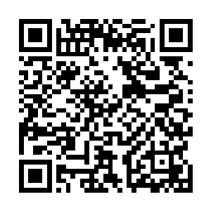 玄武族和朱雀族的无上老祖顶着一面巨大的龟壳飞速接近二维码生成