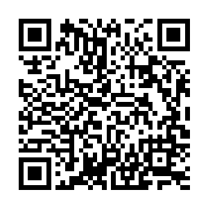 玄骨战铠的一座动力符阵被嗜灵岩蛛爆炸溅射出的汁液污染二维码生成