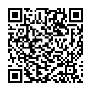 率领着上百名团中精锐在魔兽山脉里遇到了什么情况二维码生成
