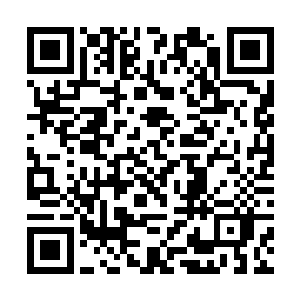 玉如梦才猛地将抓住杨开一路从小腹摸索上来的大手二维码生成