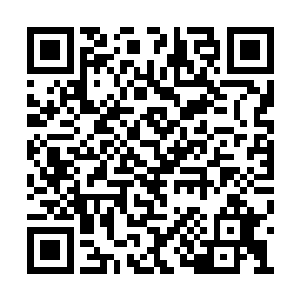 玉容没有回答这个一旦接上就不可能理清的话头二维码生成