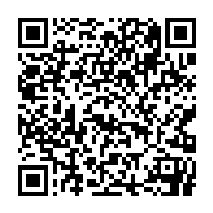 玉枢制造的光芒一到了林烽的面前瞬间化成万千朝着林烽飞了过来二维码生成