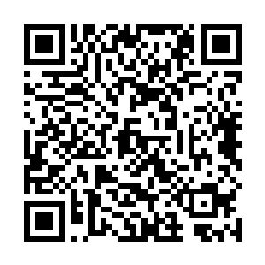 玉焚石爆发出的圣皇大圆满一击之力并没有让他们受伤二维码生成