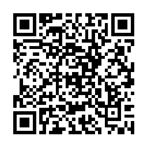 玉瓶和里面的药丸都是他刚刚利用纳物世界炼制的二维码生成