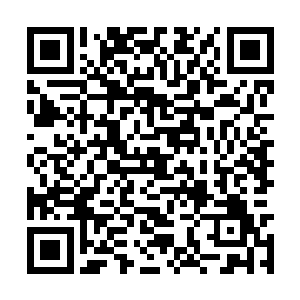 玉真子甚至看到了自己身上仙气运行时的一些变化二维码生成