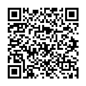 王世子可不会放心将整个岛屿的安全工作交给他国政府二维码生成