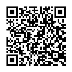 王九九不再像以前那样叫自己秦大哥或者秦老师二维码生成