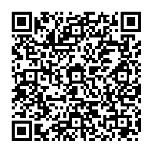 王勇那发着绿光的眼睛和伽诺那发着橙光的眼睛在黑夜中傲视着这些频临死亡的血族二维码生成
