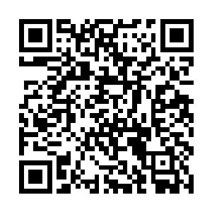 王卧云和燕星云虽然没有将注意力放在刀开来的身上二维码生成