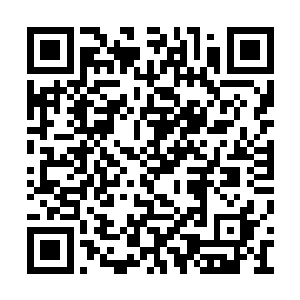 王安带着小丫头来到了自己师傅别墅这边的时候二维码生成