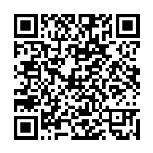 王少志和周围那些一元宗的弟子都被雷天的大笑给二维码生成