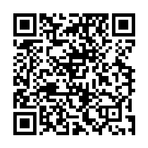 王建军没想到白振东能把刀疤哥身边的这几号人全都摆平二维码生成