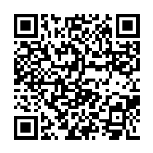 王怀林马上对楚暮解释起何为元丹何为凝练元丹二维码生成