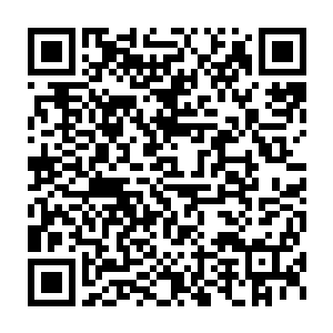 王族的韩国辅助用一个锤石在河道里单杀了yc战队中单稳健棍的妖姬二维码生成