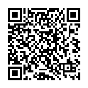 王明昊听到吴露梦的催促也不在犹豫俯身就亲了上去二维码生成