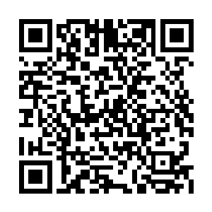 王枫在军中开展的思想教育是不可能这么激烈的二维码生成