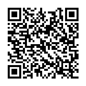 王爷以后还是万不要说妾身不好好教导铮儿的话了二维码生成